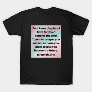 Bible Verse Jeremiah 29:11 T-Shirt